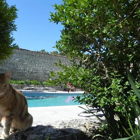 Del Re 10 * Ла-Флот